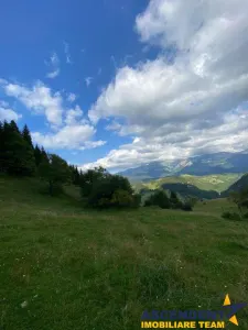 8.000 mp teren, Bran, Fundata, Brasov - foto 7