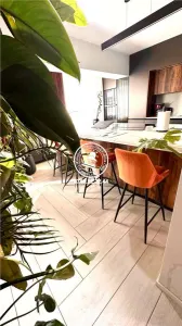 Apartament lux de vanzare  Tatarasi, - foto 16