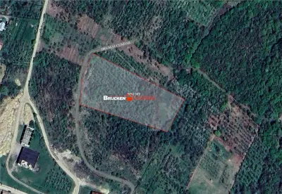 Teren intravilan de vanzare – 9.091 mp | Front 77 ml | Acces din Gh. Doja - Saldabagiu de Munte