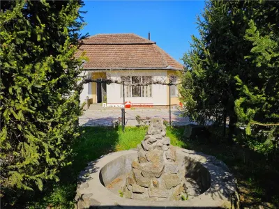 PROPRIETATE CU AFACERE FUNCTIONALA DE VANZARE - PETREU, LANGA MARGHITA - Petreu