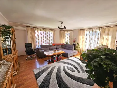 PROPRIETATE CU AFACERE FUNCTIONALA DE VANZARE - PETREU, LANGA MARGHITA - foto 3