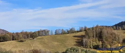 Bran, Brasov - foto 2
