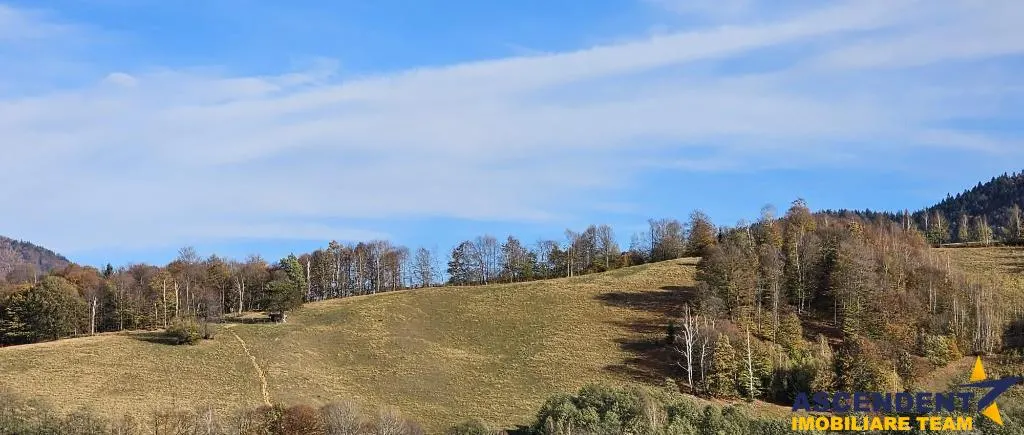 Bran, Brasov - foto 2