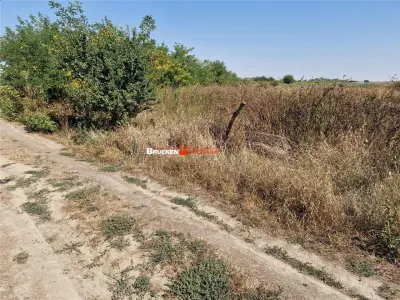 TEREN REZIDENTIAL | TOBOLIU | 1.773 MP - foto 4