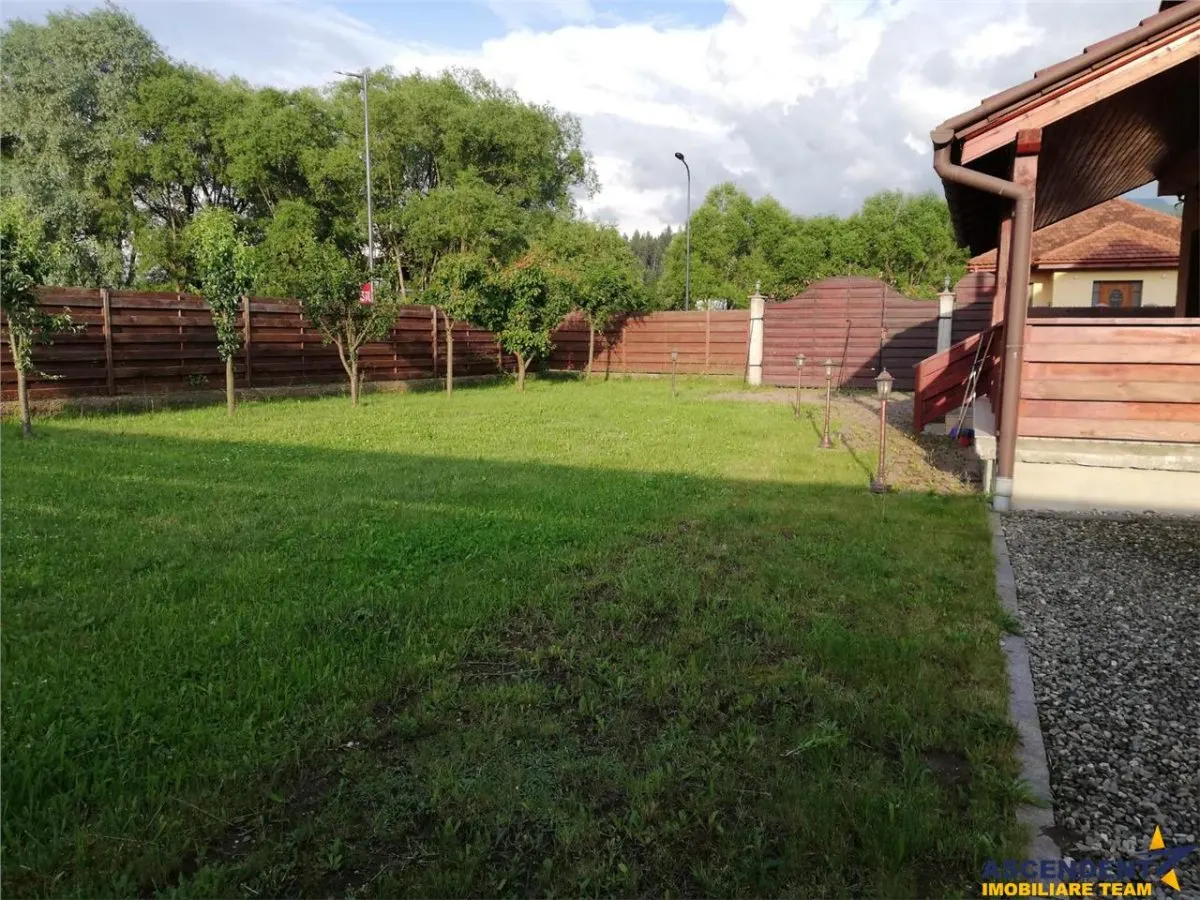 TUR LIVE! Calitativ apreciat, in invaluirea verdelui naturii, Cristian, Brasov - foto 17