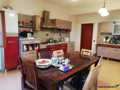 TUR LIVE! Calitativ apreciat, in invaluirea verdelui naturii, Cristian, Brasov - foto 24