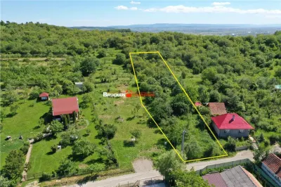 TEREN PENTRU CONSTRUCTIE REZIDENTIALA | 2878 MP | PODGORIA - foto 2