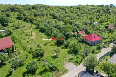 TEREN PENTRU CONSTRUCTIE REZIDENTIALA | 2878 MP | PODGORIA - foto 5
