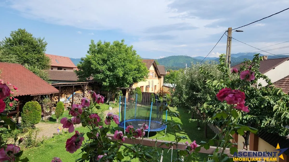 Cristian, Brasov - foto 7