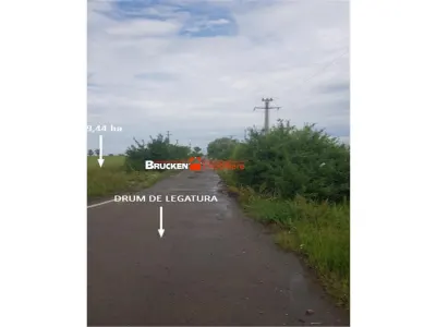 TEREN CU POTENTIAL INDUSTRIAL/ SERVICII | 9,44 HA | ARAD, PECICA - foto 6