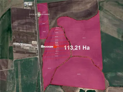 113,21 ha in nordul Aradului, la iesirea de pe drumul expres - foto 3