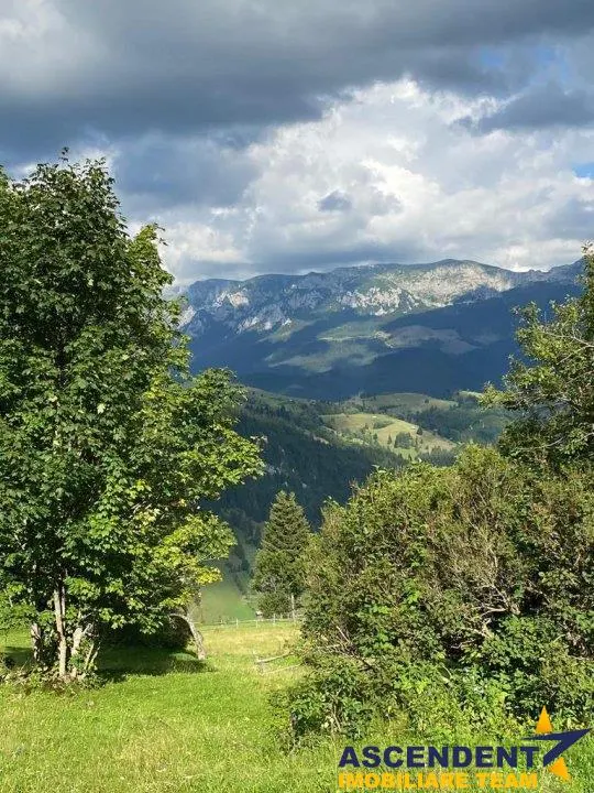 8.000 mp teren, Fundata - foto 1
