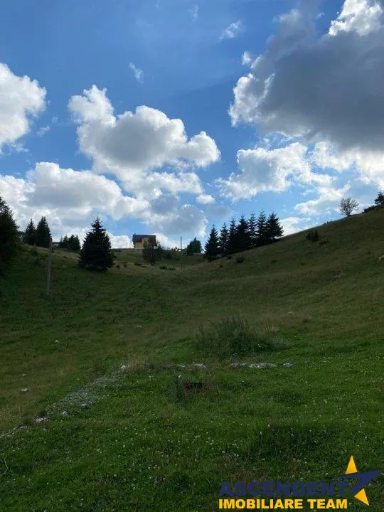 8.000 mp teren, Fundata - foto 2