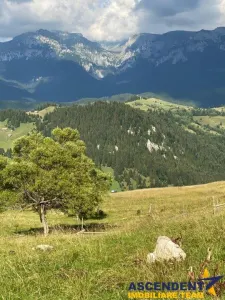 8.000 mp teren, Fundata - foto 12