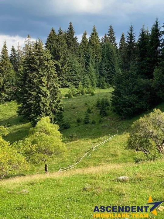 8.000 mp teren, Fundata - foto 5