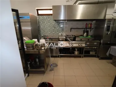 Oportunitate afacere****INCHIRIEZ RESTAURANT COMPLET DOTAT | Buna Ziua - foto 11