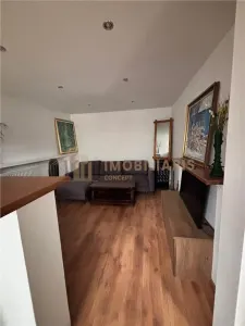 Casa individuala de vanzare Baia Mare zona Vasile Alecsandri. - foto 19
