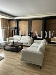 Inchiriere penthouse triplex I Herastrau - foto 4