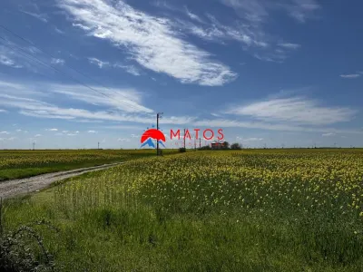 Teren de vanzare in Baicoi – DN1 | 5.000 mp - foto 8