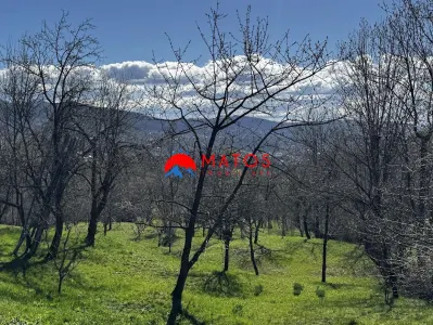Casa de vanzare Comarnic Ghiosesti | 3.025 mp | 49.000 â‚¬ FIX | 0% comision - foto 8