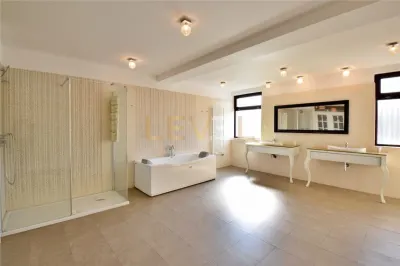 [VIDEO] Penthouse 4 camere de inchiriat 403 mp - Herastrau - foto 22