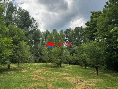 Teren intravilan 2.115 mp de vanzare Breaza, Prahova | 0% comision - Breaza