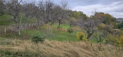 Case de vanzare la rosu, Ocolis - foto 20