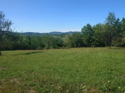 Teren intravilan 8757 mp cu acces direct la E79 - foto 12