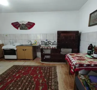 Casa P+M cu teren generos si loturi suplimentare in Baia de Cris - foto 9