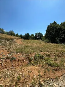 Teren intravilan Sisesti - foto 5