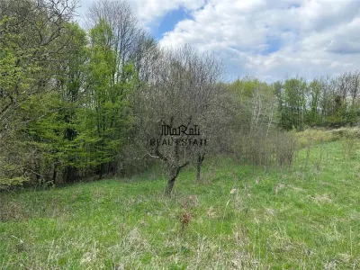 Terenuri extravilane in Luncoiu de Sus, Hunedoara - foto 3