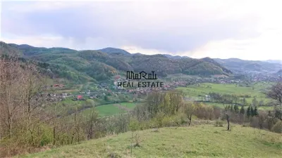 Domeniu de 7 ha in Apuseni - Criscior, Hunedoara - foto 5