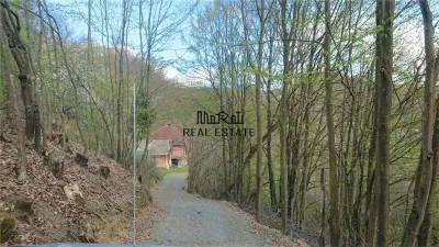 Domeniu de 7 ha in Apuseni - Criscior, Hunedoara - foto 7