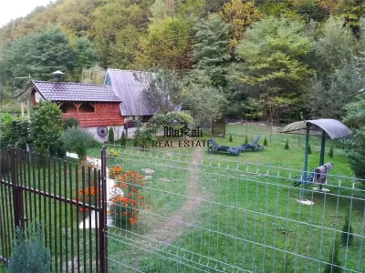 Iaz de vanzare in Apuseni- cazare, agrement si pescuit la DN74 - Buces