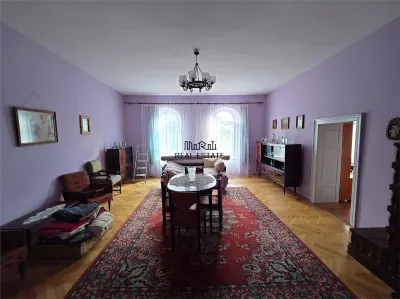 Casa cu aer nobil in Baia de Cris - foto 14
