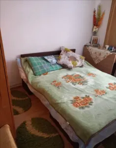 Apartament 2 camere zona Astra- Berzei - foto 2