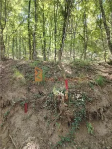 Teren intravilan zona Monteoru - foto 9