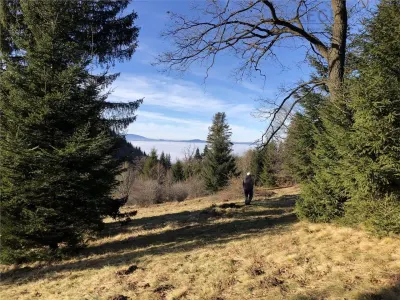 Teren superb extravilan in apropiere de Poiana Brasov - Brasov