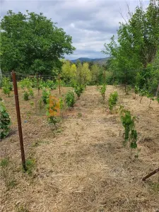 Exclusivitate! Teren intravilan zona Beceni - foto 6