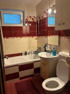Apartament 4 camere etajul 1 Centrul Civic - foto 7