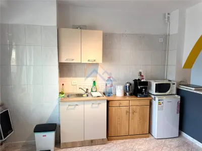 Apartament de vanzare cu 2 camere, Bulevard Burebista - Rond Alba Iulia - foto 9