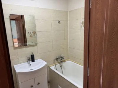 Garsoniera decomandata, renovata zona Gemenii - foto 8