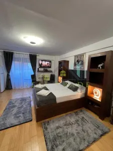 Garsoniera renovata, bloc nou Drumul Poienii - foto 2