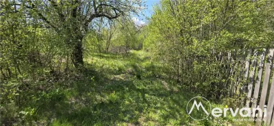 Teren cu Casuta de lemn in Sotrile (langă Valea Doftanei) - foto 14