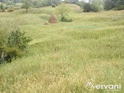 Teren extravilan de vanzare in Telega - Telega