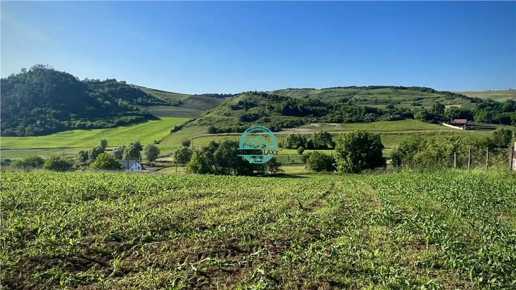 Vand teren intravilan in Sanisor cu suprafata de 4946 mp - foto 5