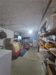 Casa de vanzare in Mandra  Spatiu generos si anexe - foto 10