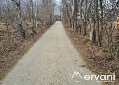 Teren de vanzare in Cornu - Cornu