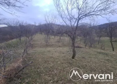 Teren Intravilan de Vanzare Comarnic - foto 2