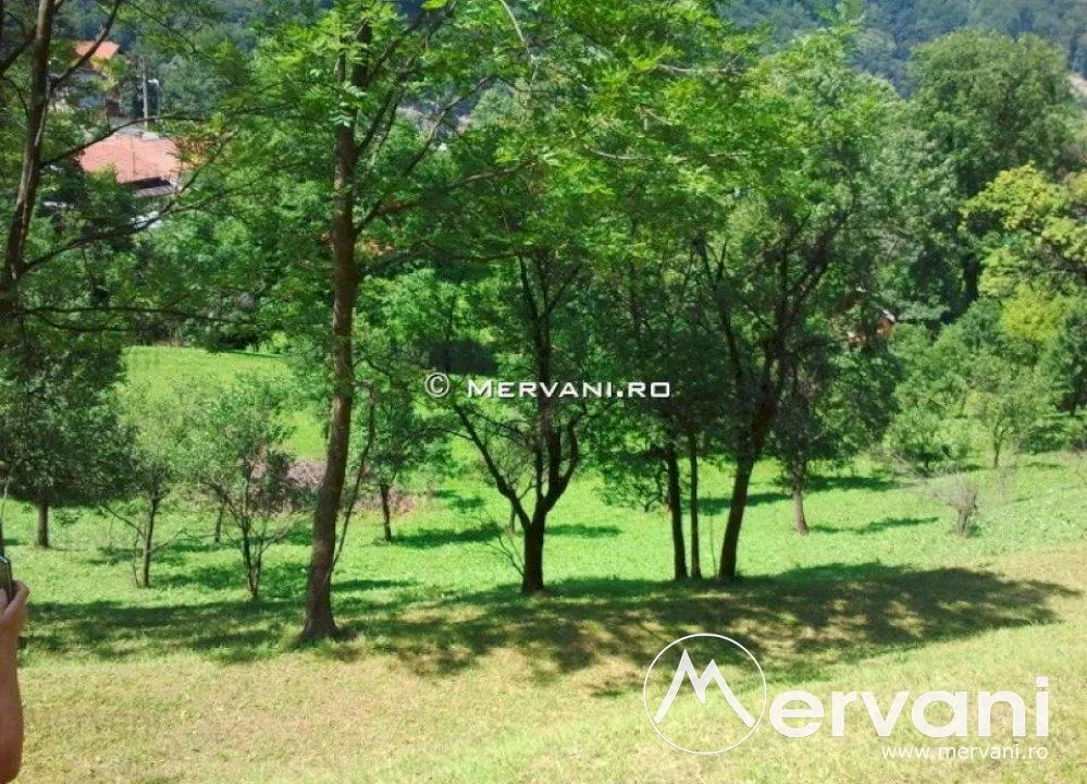 Teren de vanzare in Comarnic (zona Posada) - foto 5